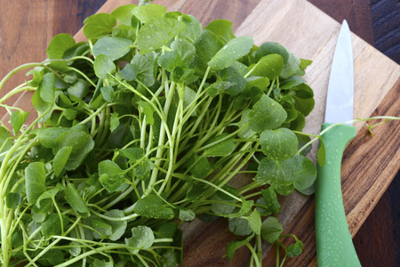 CDC Names Watercress Healthiest Vegetable