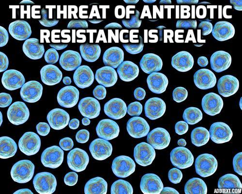 Antibiotic Resistance Could Be Biggest Global Threat